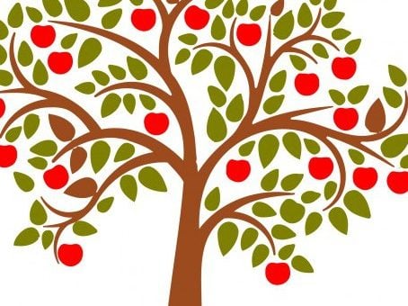 The Apple Tree