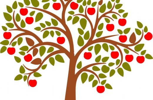 The Apple Tree