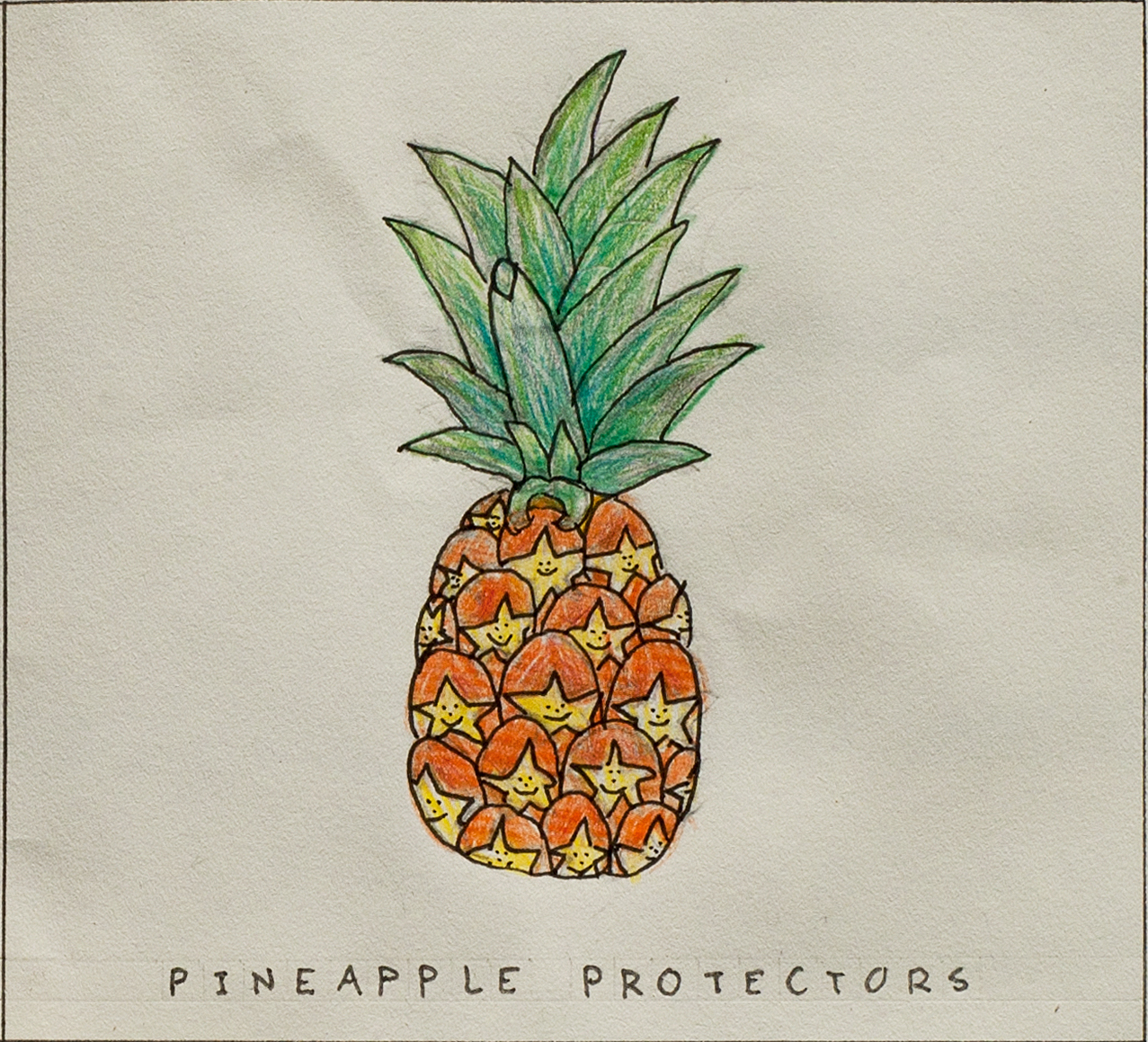 Pineapple Protectors