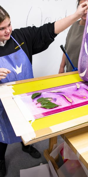 Art and the Institution – Female Factory image